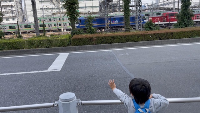 ホテルを出てすぐの線路沿いから電車を見る子供